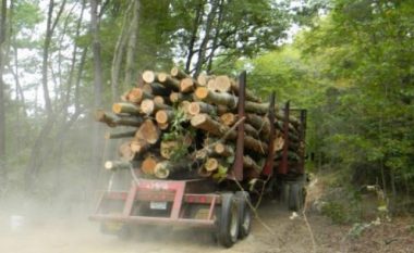 Transportonte drunj ilegalisht, policia arreston një serb në Leposaviq
