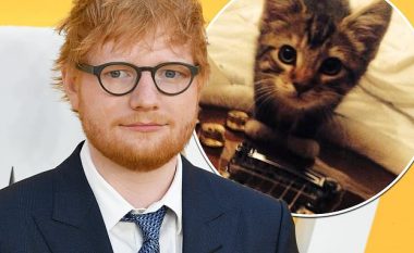 Ed Sheeran i pikëlluar, macja e tij ngordh pasi goditet me veturë