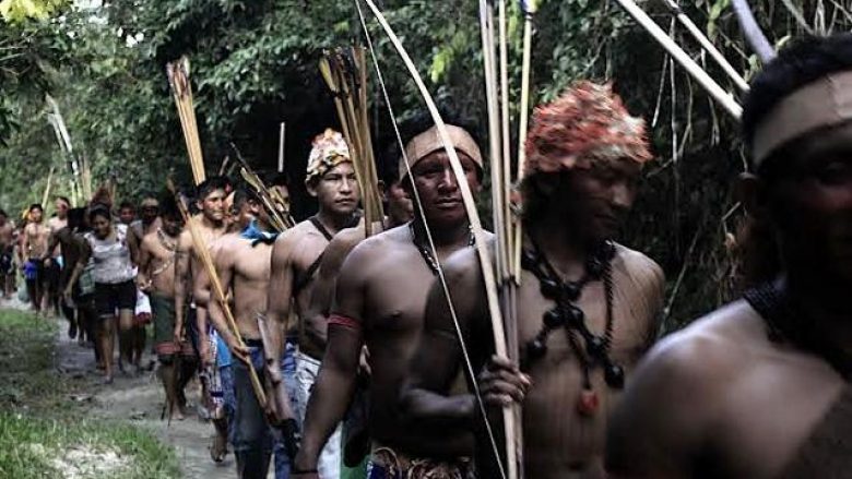Mbijetesa e fisit të egër në Amazonë kërcënohet nga Bolsonaro: Le t’i integrojmë këta qytetarë