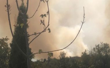 Shpërthen zjarr në vendbanimin Pintia në Shkup