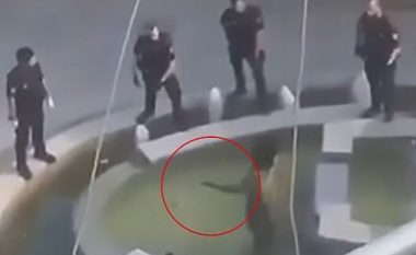 Polici zë në befasi hajnin që mbante një thikë – momenti kur ai “fluturon” në drejtim të tij, në një shatërvan Madrid