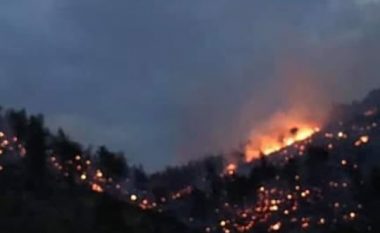 Dyshohen për zjarrvënie të qëllimishme në malin e Shëngjinit, arrestohen 2 persona