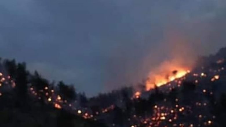 Dyshohen për zjarrvënie të qëllimishme në malin e Shëngjinit, arrestohen 2 persona