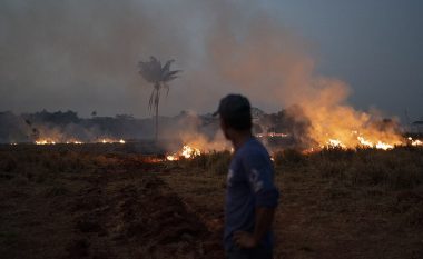 “Mushkëria e botës” po digjet: Pamjet që tregojnë pasojat e zjarreve në Amazonë – aty ku gjithçka që mund të shihni ngjanë me një varrezë