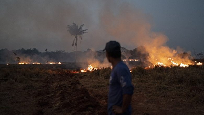 “Mushkëria e botës” po digjet: Pamjet që tregojnë pasojat e zjarreve në Amazonë – aty ku gjithçka që mund të shihni ngjanë me një varrezë