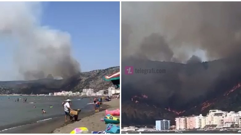 Shpërthen zjarri në malin me pisha në afërsi të portit në Shëngjin