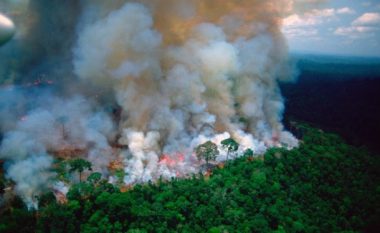 Zjarret në Amazon, Macron: Shtëpia jonë po digjet