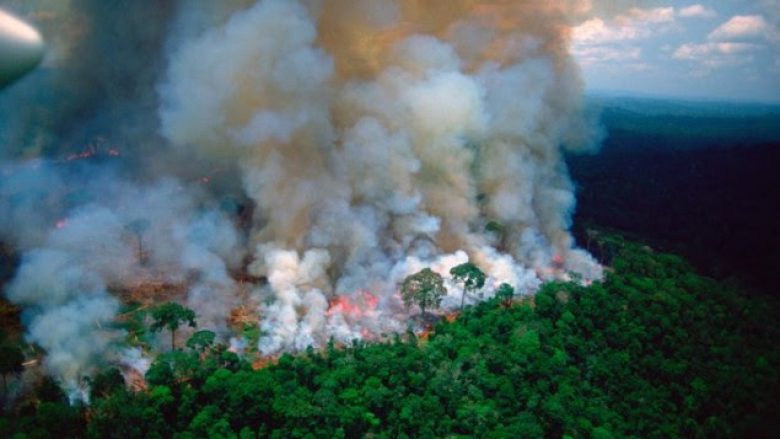 Zjarret në Amazon, Macron: Shtëpia jonë po digjet