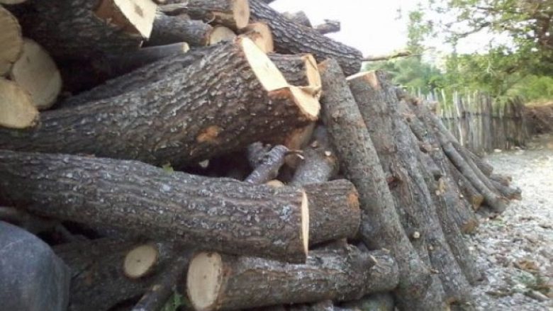 Prisnin drunj ilegalisht, policia arreston tetë persona në Ferizaj