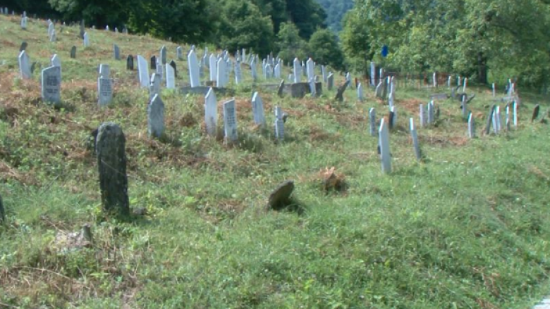 Në fshatin Shipkovicë të Tetovës, ariu ushqehet me të vdekurit