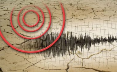 Publikuan lajme të rreme për tërmetin, arrestohen dy gazetarë
