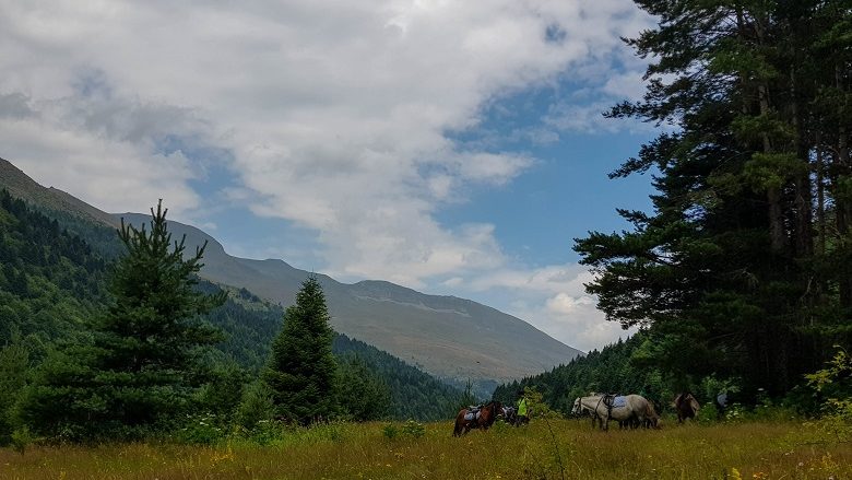 Kuaj, mrekulli n’luginë të Leshnicës, me buk e djath…