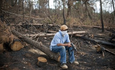 Harrojeni drogën, karteli meksikan tanimë po shesin një dru të veçantë – po i masakrojnë njerëzit që kundërshtojnë të lëshojnë tokat e tyre