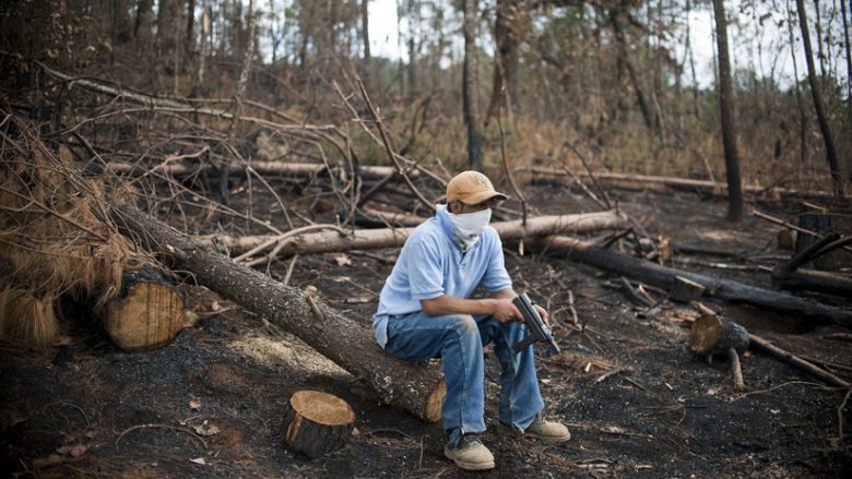 Harrojeni drogën, karteli meksikan tanimë po shesin një dru të veçantë – po i masakrojnë njerëzit që kundërshtojnë të lëshojnë tokat e tyre