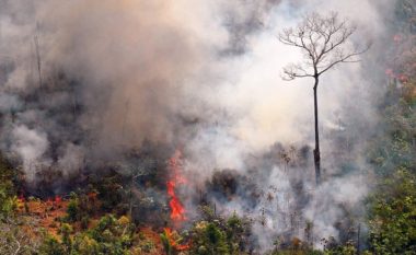 “Amazona nuk është thjesht pylli që po digjet – po kthehet praktikisht në një varrezë”: Kostoja e tmerrshme e zjarreve në “mushkërinë e botës”