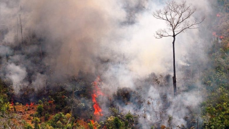“Amazona nuk është thjesht pylli që po digjet – po kthehet praktikisht në një varrezë”: Kostoja e tmerrshme e zjarreve në “mushkërinë e botës”