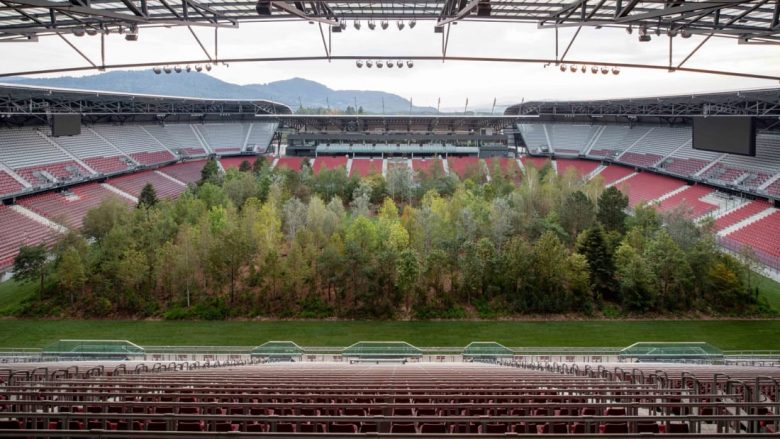 Brenda stadiumit u mbollën 300 drunj, pjesë e një projekti për ngritjen e vetëdijes mbi ambientin