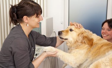 Sa vërtet ka qeni juaj “vite të njeriut’, po ju sjellim metodën e re të llogaritjes