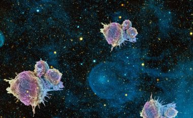 Qelizat e kancerit, vdesin në hapësirë!