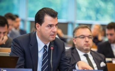 Basha: Zgjidhja e krizës në Shqipëri, përmes zgjedhjeve të lira