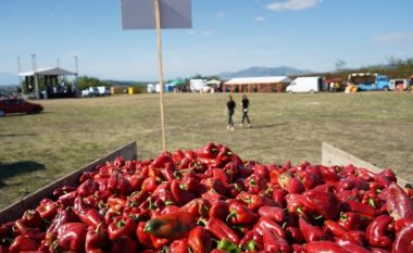“Agrofesta”, festivali që po paraqet punën e heroinave të Krushës