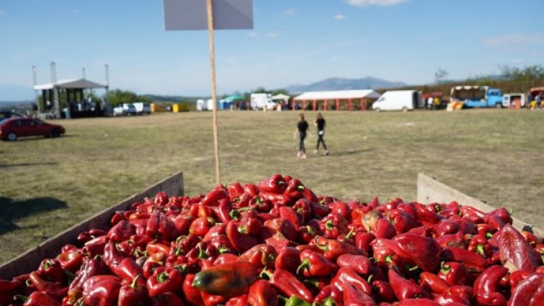 “Agrofesta”, festivali që po paraqet punën e heroinave të Krushës