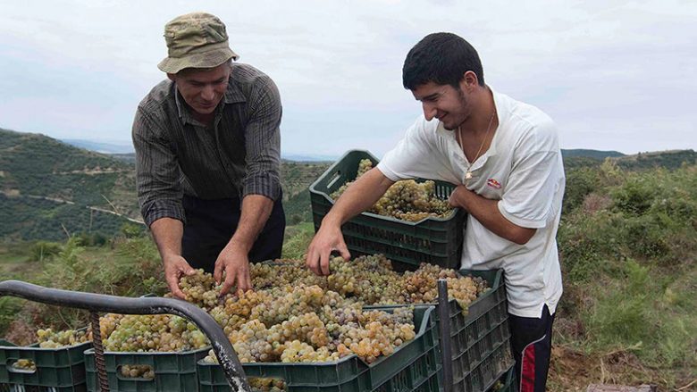 “The Guardian”: Rilindja e verës shqiptare