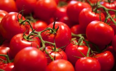 Konsumimi i domateve e rritë kualitetin e spermës më shumë se 40 për qind