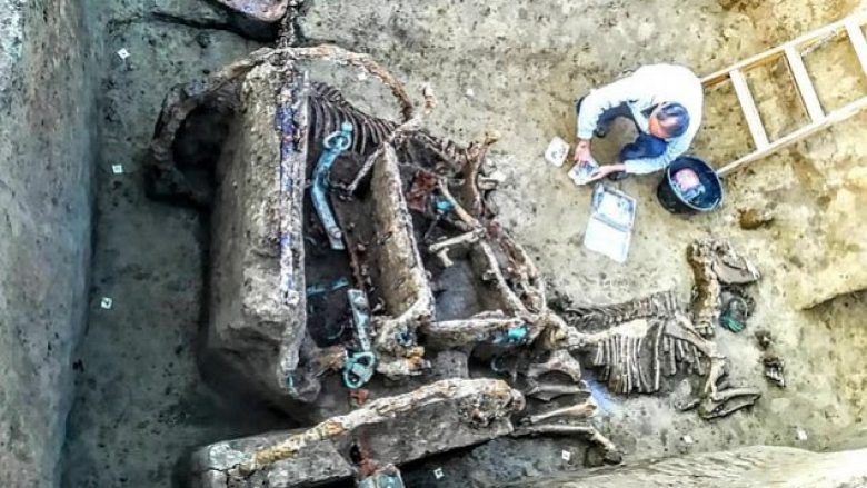 Në Kroaci zbulohet qerrja romake e varrosur me dy kuaj 1.800 vjet më parë