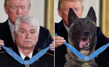 Zbulohet e vërteta e fotografisë së qenit hero me medalje nderi