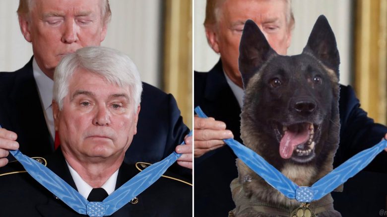 Zbulohet e vërteta e fotografisë së qenit hero me medalje nderi