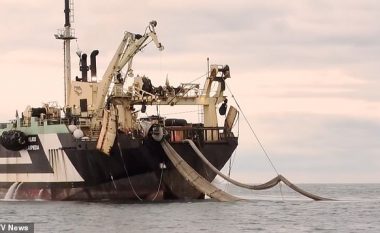 Anija gjigante që përpunon deri në 250 ton peshq në ditë dhe është një kërcënim për ambientin nënujor, po qëndron për disa ditë në brigjet Anglisë