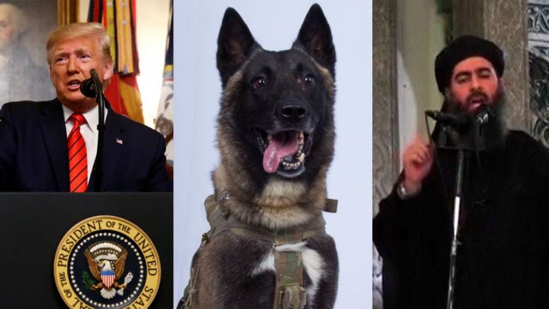 Trump poston fotografinë e qenit të përfshirë në vrasjen e al-Baghdadit, tregohet se çfarë roli luajti ai gjatë operacionit