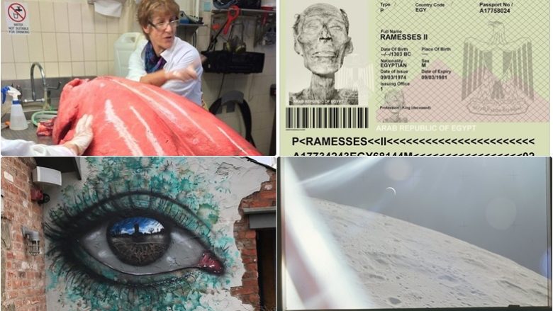 A e dini se mumies së një Faraoni iu dha një pasaportë? Këto 15 fotografi janë për ata që mendojnë se kanë parë gjithçka në këtë botë!