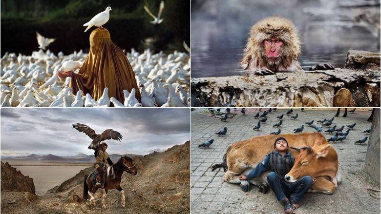 Marrëdhënia komplekse midis njerëzve dhe kafshëve, e paraqitur përmes pamjeve mahnitëse – nga një fotograf amerikan