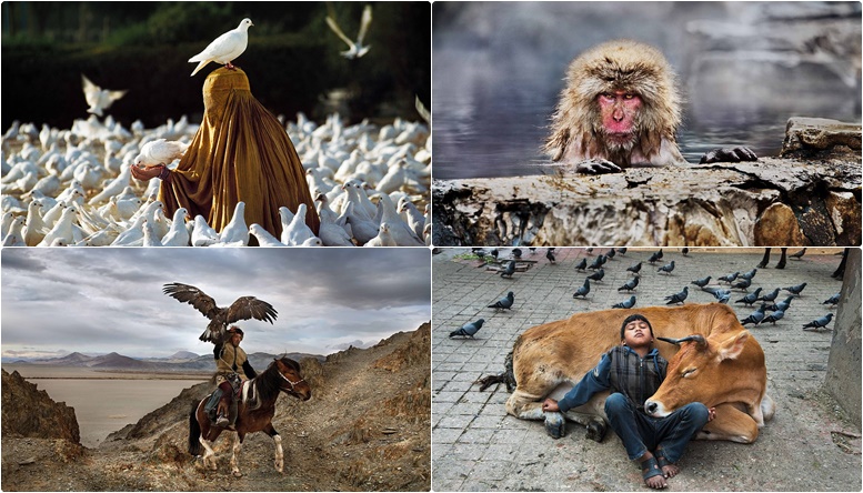 Marrëdhënia komplekse midis njerëzve dhe kafshëve, e paraqitur përmes pamjeve mahnitëse – nga një fotograf amerikan
