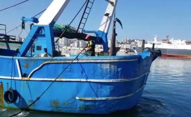 Kapet peshkaqeni 'tigër' 500 kilogramësh në Durrës