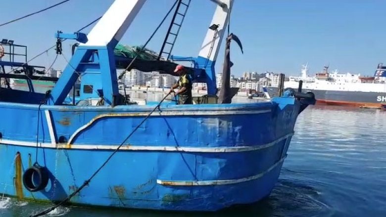 Kapet peshkaqeni ‘tigër’ 500 kilogramësh në Durrës