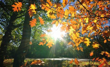 Temperatura verore, ky është moti për sot