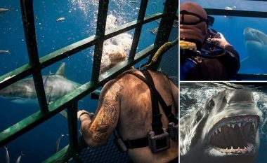 Futet me kafaz në ujë për t’i fotografuar peshkaqenët më të rrezikshëm – madje shpesh rrezikon jetën për një imazh të “përkryer”