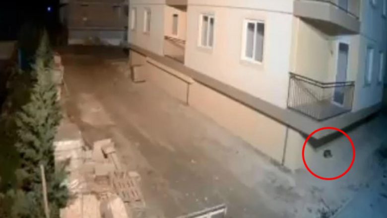 Pamje që tregojnë se si qeni parandien pak sekonda më herët tërmetin në Shqipëri, largohet nga ndërtesa në Shëngjin që fillon të lëkundet - Telegrafi