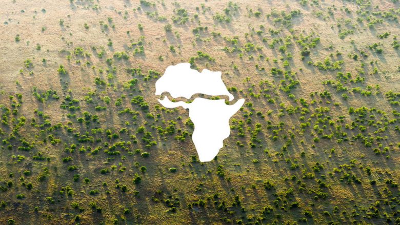 Lufta kundër shkretëtirës, Afrika ndërton murin e madh të gjelbër – do të jetë 8 mijë kilometra i gjatë