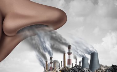 Shkencëtarët amerikanë: Ndotja e ajrit e zvogëlon shumë inteligjencën