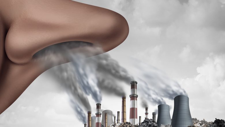 Shkencëtarët amerikanë: Ndotja e ajrit e zvogëlon shumë inteligjencën