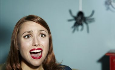 Ekspertët tregojnë pse nuk duhet t’i vrisni kurrë merimangat në shtëpi?