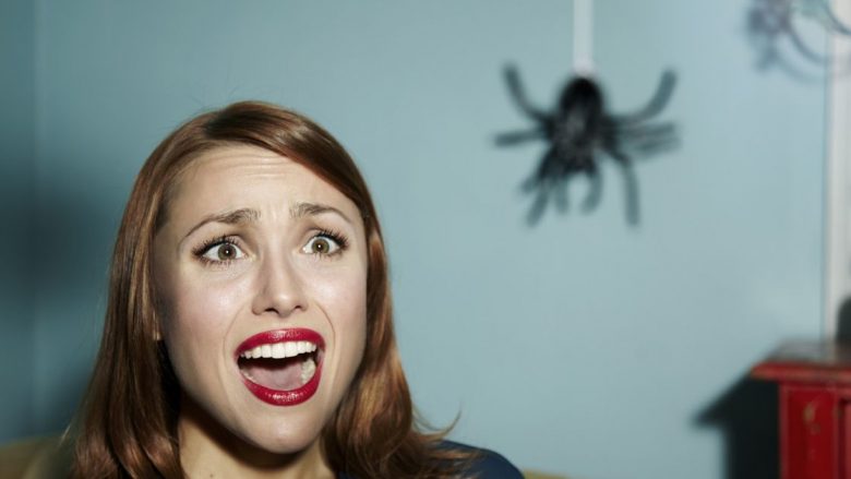 Ekspertët tregojnë pse nuk duhet t’i vrisni kurrë merimangat në shtëpi?