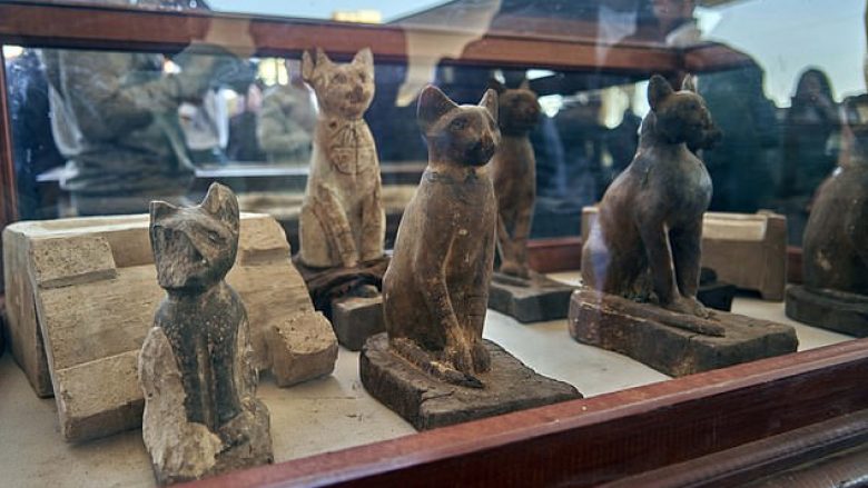 Arkeologët kanë gjetur mimiet e disa këlyshëve të luanëve, krokodilëve, qenve dhe maceve