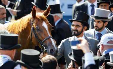 Ofroi aq shumë para për një kalë, sa që befasoi edhe ekspertët e industrisë – Sheiku i Dubait tanimë shkon drejt hapit të radhës