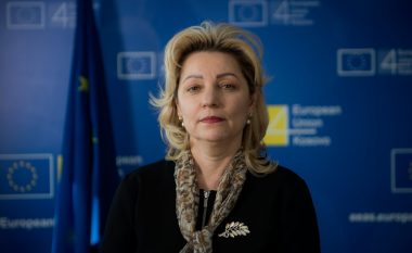 Apostolova: Zvogëlimi i ministrive nga Qeveria e re të jetë në përputhje me legjislacionin, për BE-në ka rëndësi të ketë institucione efikase