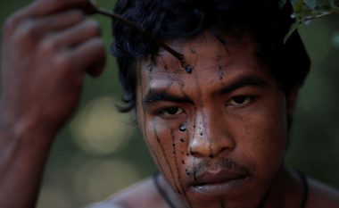 Vritet roja i Amazonit nga prerësit e paligjshëm të pyjeve